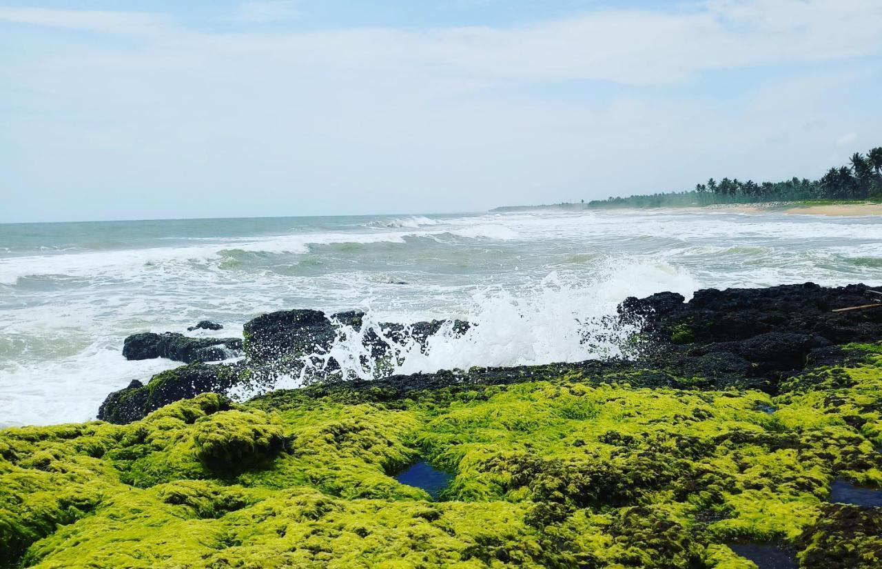 Oceanic Beach Residency Varkala Eksteriør bilde